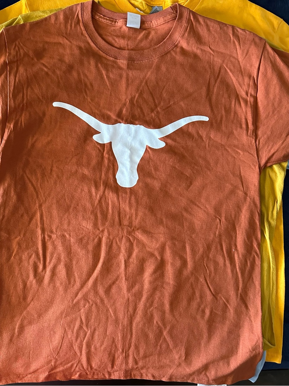 Hanes Short Sleeve Tee with White Longhorn Graphic NWOT